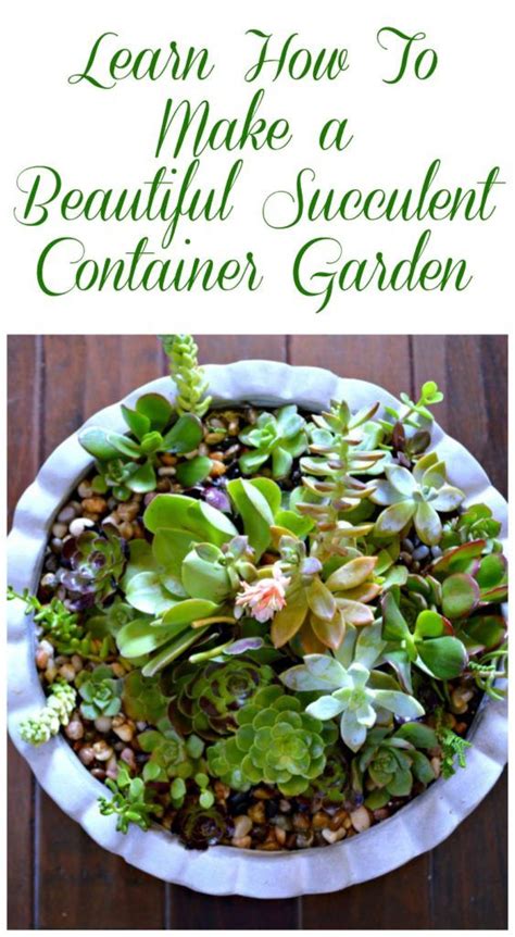 Diy Succulent Container Garden Succulents In Containers Succulents