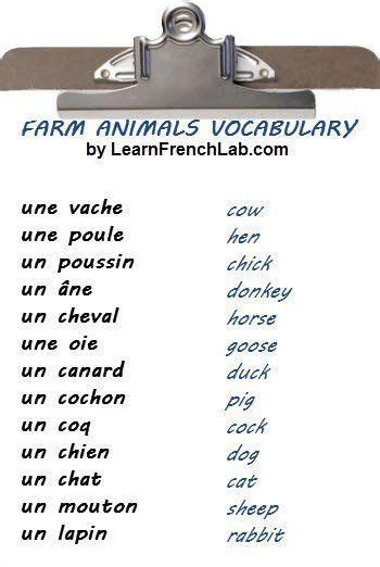 61 Basic french words ideas in 2021 | french words, basic french words ...