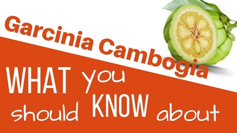 garcinia cambogia review what you should know before you buy garcinia cambogia youtube