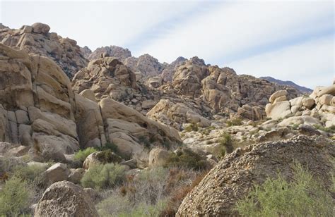 Boulder Field At Rattlesnake Canyon Joshua Tree National Park