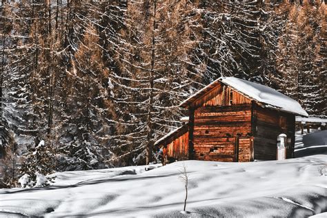 Free Photo Brown Wooden Cabin In Snowy Landscape Near Forest Barn