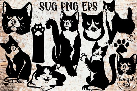 Tuxedo Cat Bundle Svg Graphic By Tanuscharts · Creative Fabrica