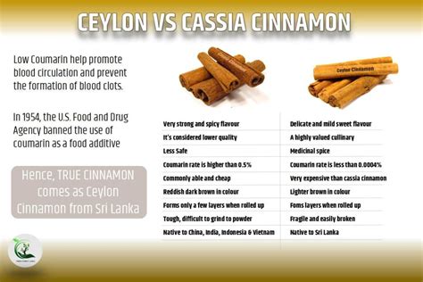 Ceylon Vs Cassia Cinnamon Green Forest Lanka