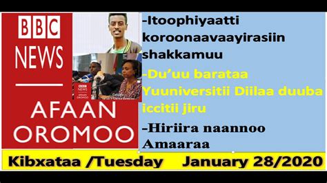 Bbc News Afaan Oromo Tuesday January 28 2020oduu Afaan Oromoo Kibxataa