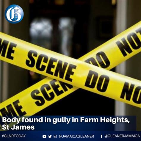 jamaica gleaner the body of a man was found in a gully facebook