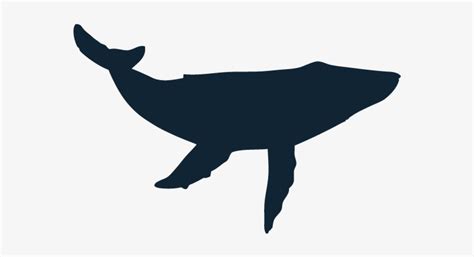 Blue Whale Silhouette At Getdrawings Humpback Whale Whale Silhouette