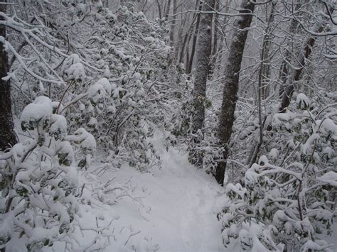 Snow On The Appalachian Trail In The Gsmnp Appalachian Trail