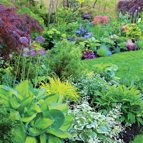 How To Design A Colorful Shade Garden Finegardening