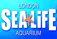 Polish your personal project or design with these sealife transparent png images, make it even more personalized and more attractive. Accessible?: Sealife London Aquarium