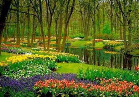 Check spelling or type a new query. In The Garden