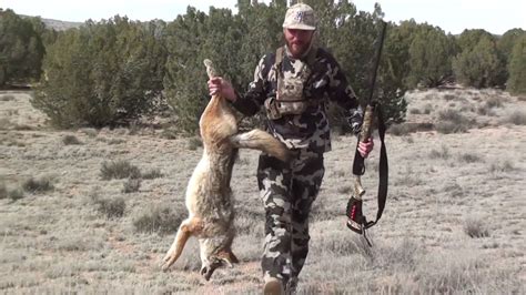Arizona Coyote Hunt Youtube