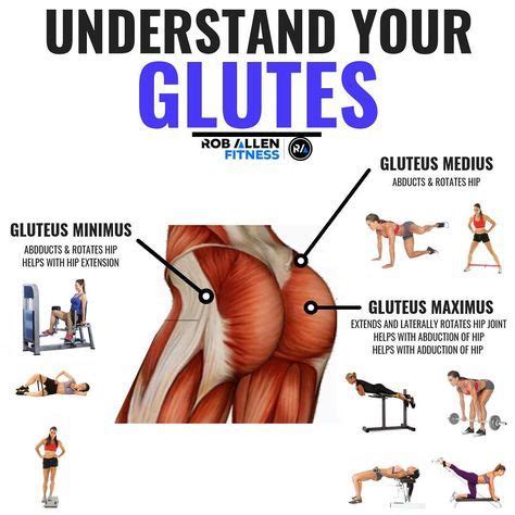 Understand Your Glutes Your Glute Muscles Work As A Team The Gluteus