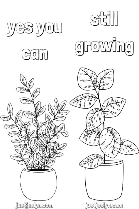 Houseplant Coloring Pages