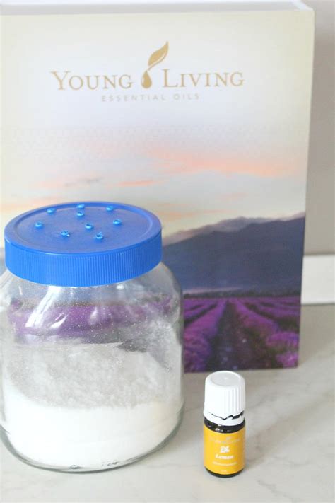 You can do it outdoors as well as indoors. DIY Flea Repellent Recipe | DIYIdeaCenter.com