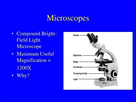 What Is The Highest Magnification Of A Light Microscope