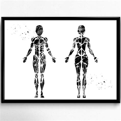 Female Muscular System Anatomy Watercolor Poster Print Medical Etsy