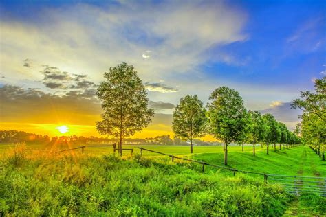 Download Countryside Summer Tree Sky Nature Sunset Hd Wallpaper