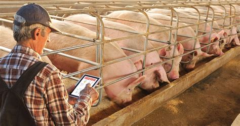 Feedview Is A Comprehensive Feed Management Solution National Hog Farmer