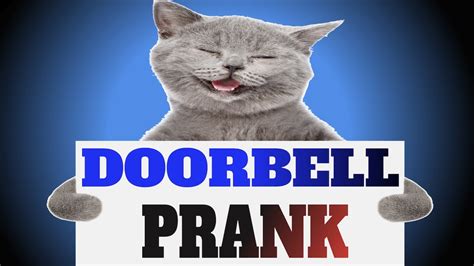 Doorbell Sounds For Cats Prank Your Cat Youtube