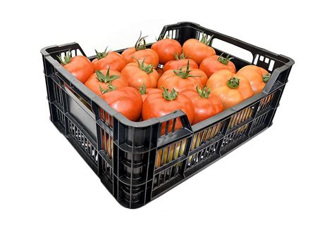 Caja de plástico agrícola - recolección y transporte de frutas y hortalizas