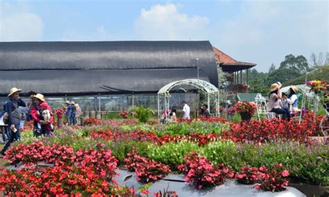 Taman Bunga Bandung Newstempo
