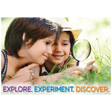 Knowledge Tree Creative Teaching Press Explore Experiment Discover Poster