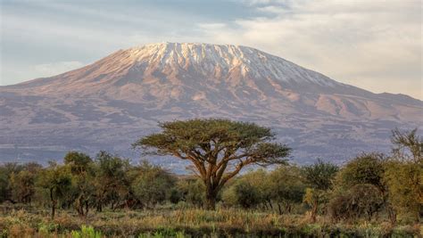 Majestic Views Of Mount Kilimanjaro