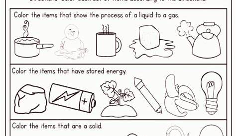 science worksheets for 3rd graders