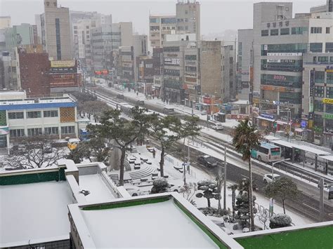 Snow Warnings Have Finally Been Cancelled Jeju Weekly