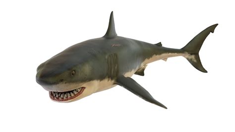Maybe you would like to learn more about one of these? shark-3973903_1920 - Factins