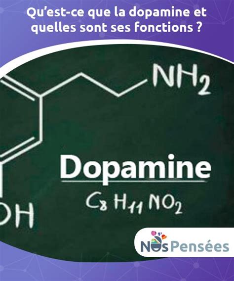 Qu Est Ce Que La Dopamine Et Quelles Sont Ses Fonctions Neurotransmetteur Soin Infirmier
