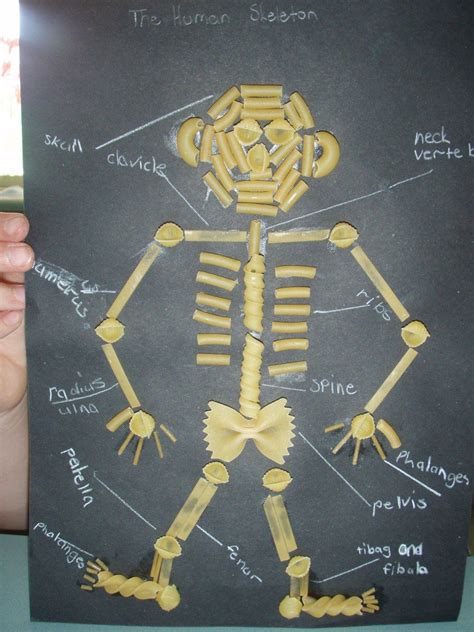 Art Craft Relief Teaching Ideas Relief Teaching Ideas Skeleton Project Skeleton Craft