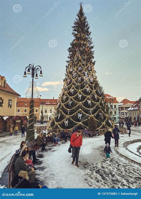 Tall Christmas Tree In The Council Square Brasov Romania Editorial