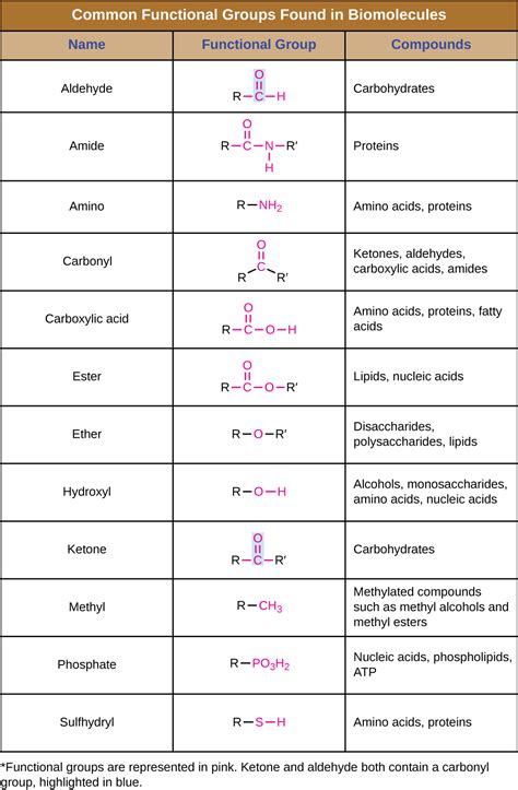 211 Organic Molecules Biology Libretexts