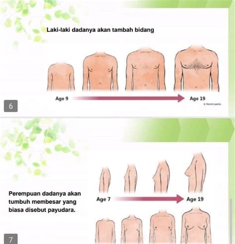 Perbedaan Perkembangan Fisik Laki Laki Dan Perempuan Tips Membedakan