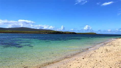 A Beautiful Shoreline View In Scotland Image Free Stock Photo