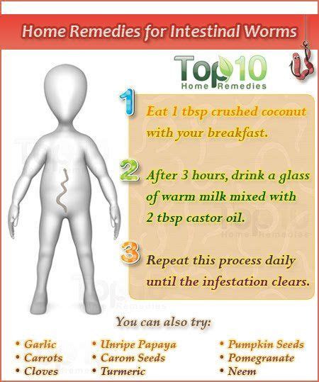 Home Remedies For Intestinal Worms Home Remedies Top 10 Home Remedies Remedies
