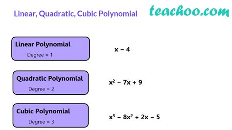 Differnet Types Of Polynomial Constant Linear Quadratic Teachoo