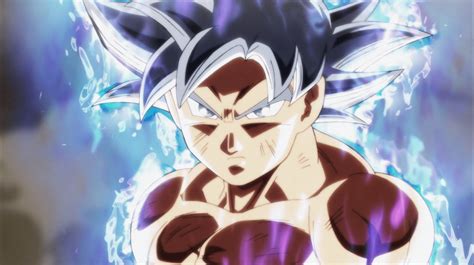 Top Goku Ultra Instinct Silver Hair Polarrunningexpeditions