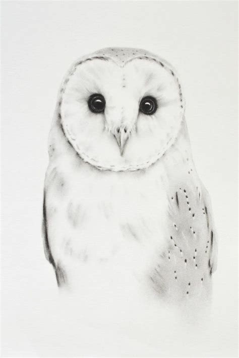 Original Barn Owl Charcoal Drawing 11x14 Barn Etsy Owls Drawing