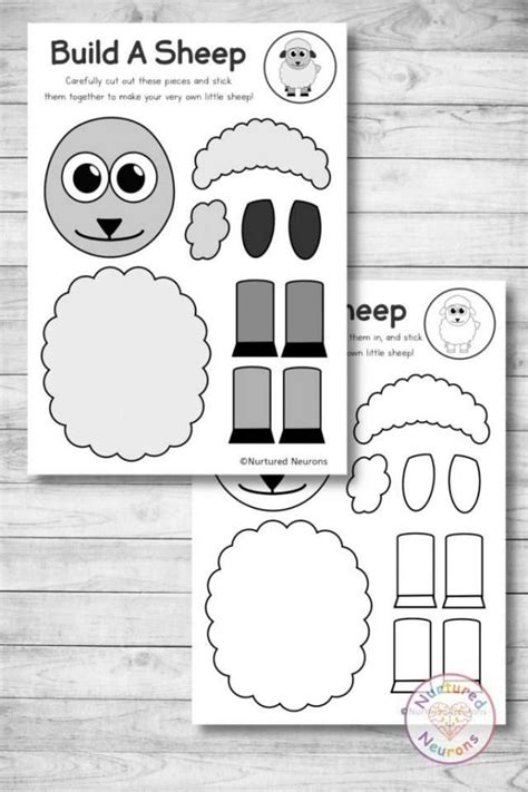 Make A Simple Sheep With This Build A Sheep Craft Nurtured Neurons
