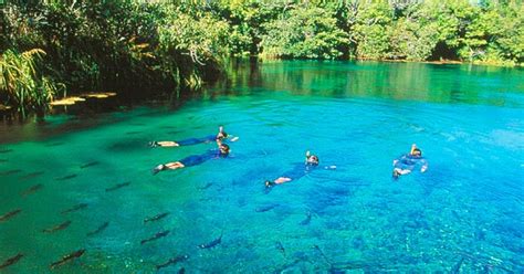 Viagens Pelo Mundo 6 lugares incríveis para conhecer no Mato Grosso do Sul