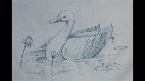 Beautiful Swan Pencil Shading Step By Step Youtube