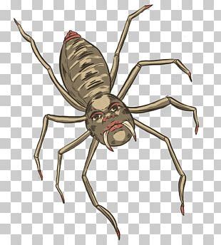 Mite Microscope Insect Arthropod Spider Png Clipart Acari Arachnid