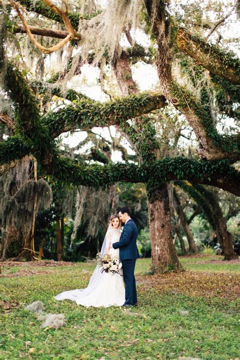 At other times they might hide away in trees. finding_light_photography-davie_florida_flamingo_gardens_wedding_photographer… | Florida wedding ...