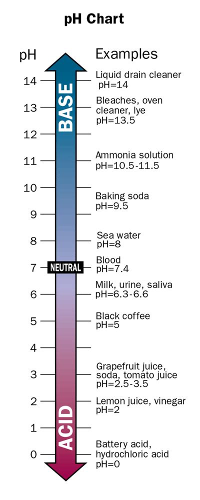 The normal ph of human blood is 7.35 to 7.45. pH Mythology: Separating pHacts from pHiction - SkepDoc