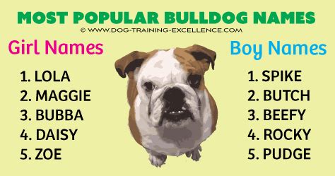 As such, the name that you select for your bulldog could be one that celebrates her strength and fortitude, or just one that speaks to her fun and loving personality. 600 Unforgetabble Bulldog Names to Begin a Beautiful ...