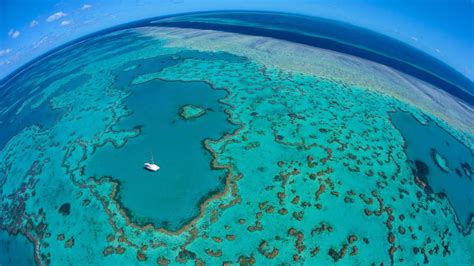 Great Barrier Reef Bing Wallpaper Download