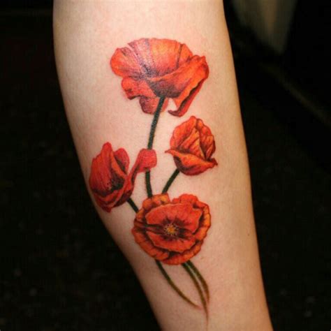 31 Mesmerizing Poppy Tattoo Designs Ideas And Pictures Picsmine