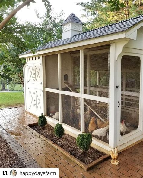 How To Build A Chicken Coop For 4 Chickens Chicken Coop
